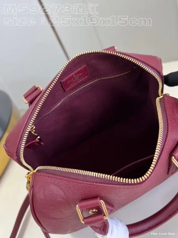 Rep ladies BANDOULIÈRE SPEEDY 25 LOUIS VUITTON 0529